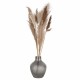 Vase Delight