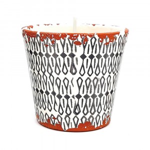 Fig scented plant candle