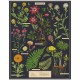 Puzzle herbier