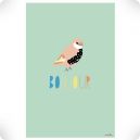 Affiche Bonjour
