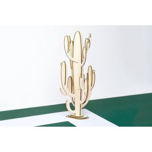 Cactus décoratif