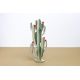 Decorative cactus