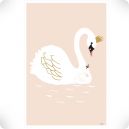 Affiche Cygne